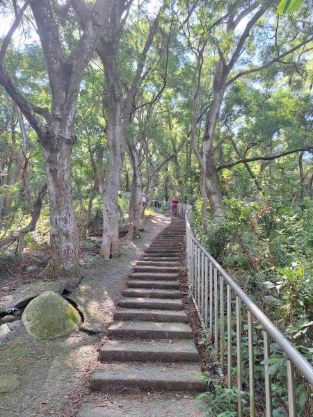 田中森林登山步道＋茶香步道＋赤水崎公園步道202508172862072