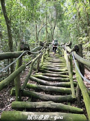 【台中北屯】大坑1號步道3095059