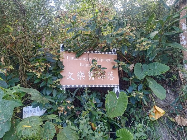 盆貿里山三盆連走2749572