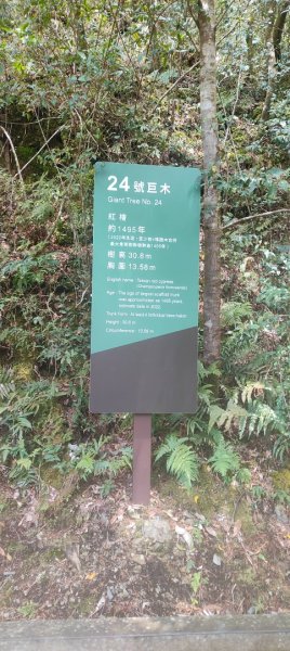 拉拉山國家森林遊樂區2752245