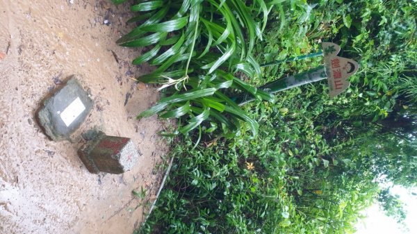 收集小百岳-劍潭山1439710