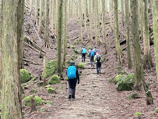 熊野古道參訪4日2805091