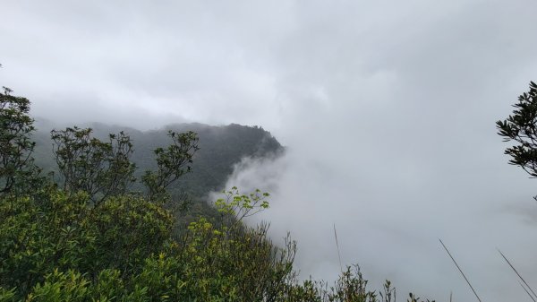 北得拉曼-20204062859837