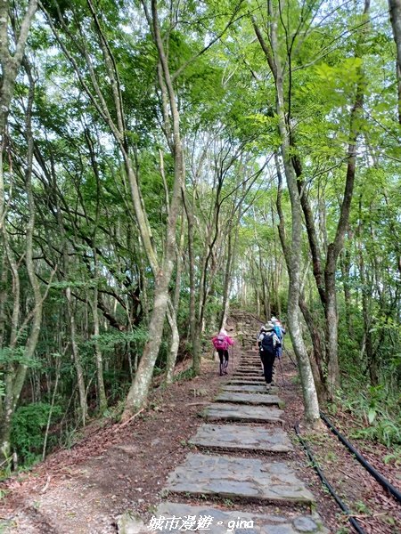 【南投信義】望鄉部落抬頭見玉山。 獵人古道連走、望美山、瓊山2274297