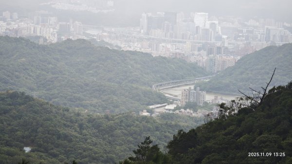 20251109 士林站到大湖站(福山宮_腰繞_燕溪古道_翠山步道_龍船岩_大溝溪)2932362