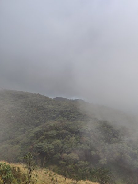 渭水之丘 烘爐地山 抹茶山 三角崙山2938746
