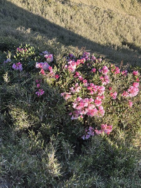 合歡尖山3050945