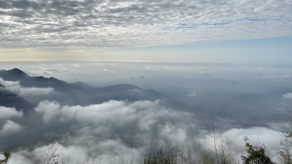 20250119二延平步道2716358