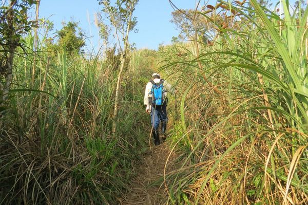 宜蘭礁溪鵲子山O型409932