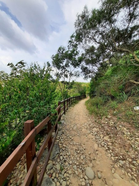 《台中》大肚環保公園登山步道、望高寮賞景1055282