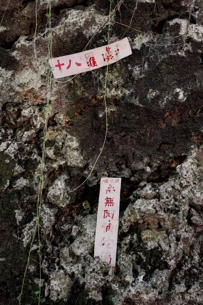 大崗山步道｜小百岳2812787