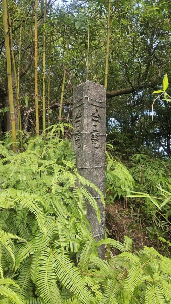 20250715玉田古道-八斗坑內古道2837735