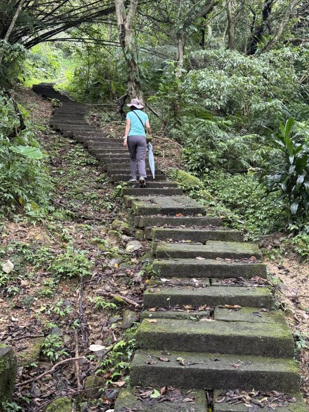 天上山+大棟山 2025.07.202864413