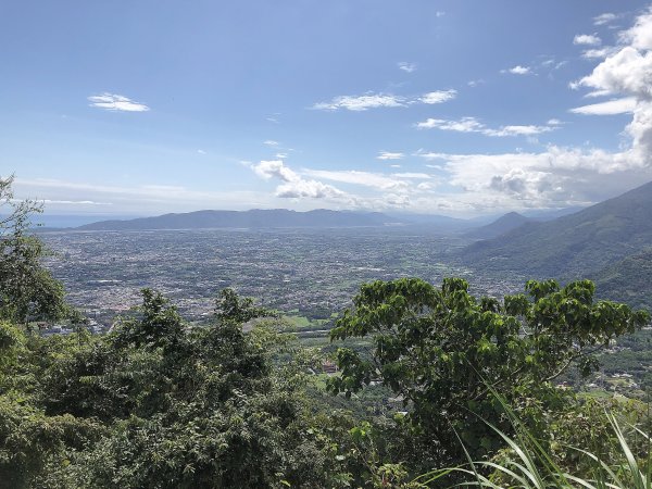 ~  佐倉步道  ~2050474