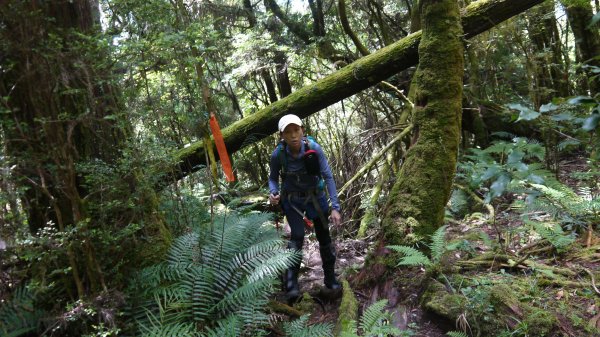 三星山登山健行趣(小百岳85號)1800699