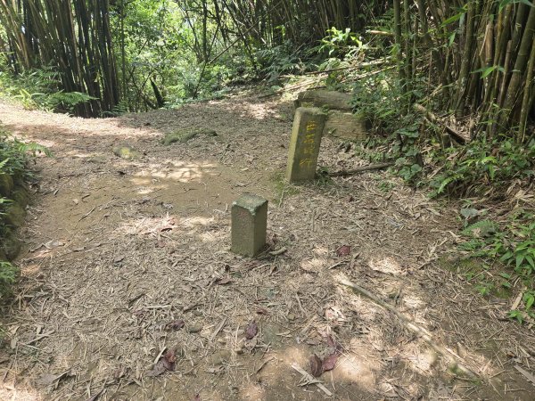 20260531崩山坑古道-山腰古道-中坑古道-仿山坑山-石古井3071903