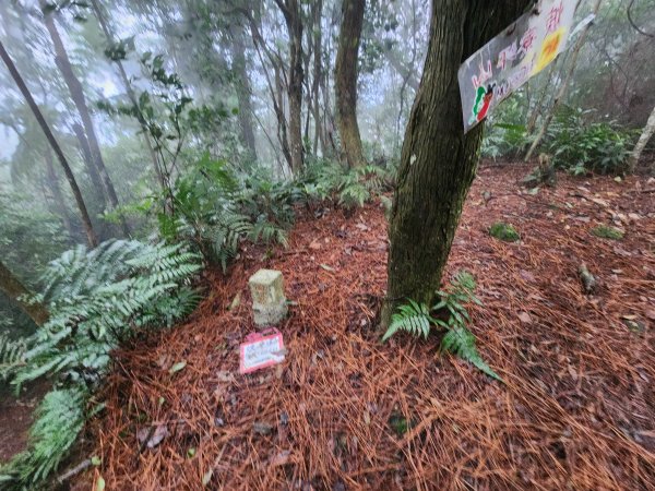 20260208五分寮頂山內大坪山石硬山O型3005245