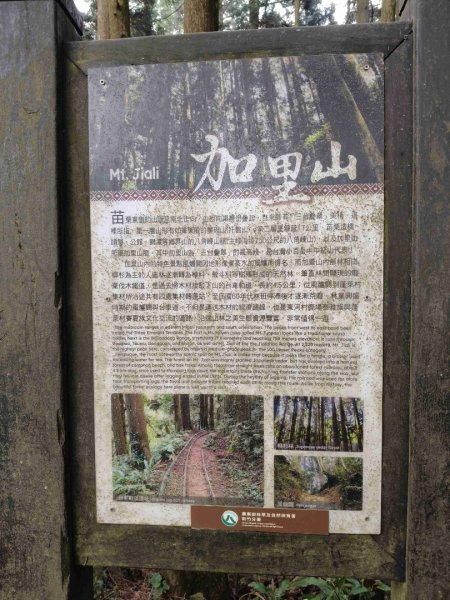 加里山P縱202506222818625