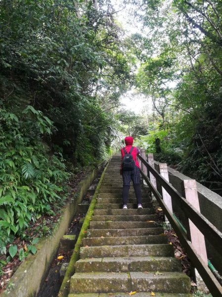 與母親爬山—虎山步道群/探訪秘境黃蟬園895162