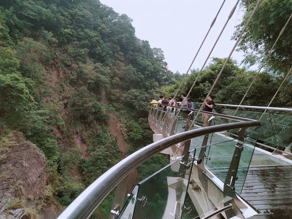 小烏來天空步道1070444