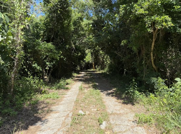 2025_1018 花蓮山步道2921266