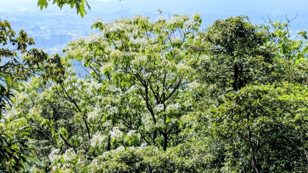 大尖山。走向2770870