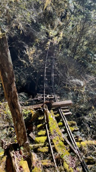 前進嵐山森林鐵道之好山好水好難走的嵐山工作站2427659