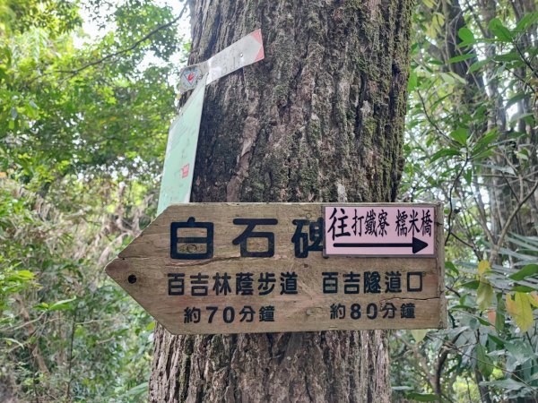 金面山/白石山-小百岳#21-桃園市大溪區2247870