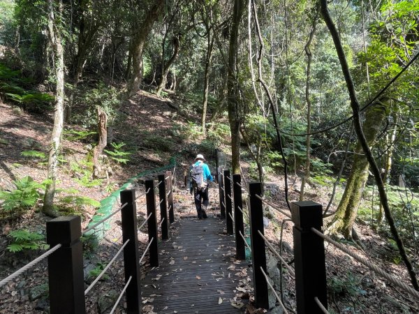 1141129巨人之手｜雪山坑登山步道2949145