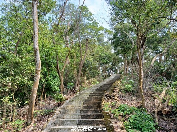 【彰化員林】綠樹林間散散步。 臥龍坡步道1691259