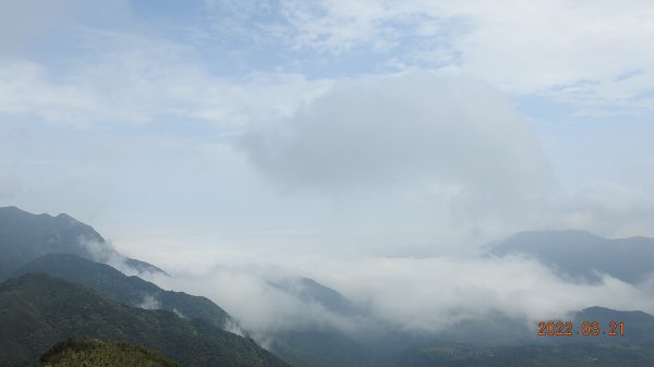 陽明山趴趴走，整天差強人意雲海1650827