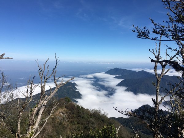 加里山、杜鵑嶺、大坪山、大斜壁2387394