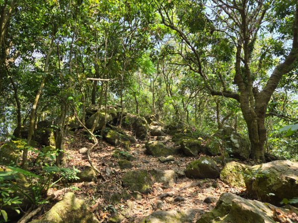 龍麟山步道2748680