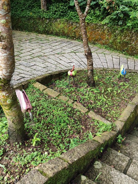 臺北大縱走第七段：世界山莊至飛龍步道政大後山2811697