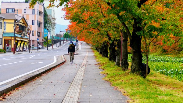 青森縣津輕藩睡魔村2929967