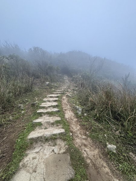 陽明山東西大縱走-東段2984516