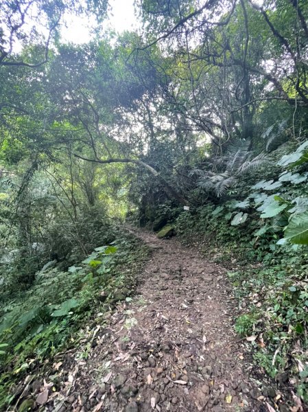 2022森遊竹縣 皮皮獅同樂會 - 馬胎古道 07091806775