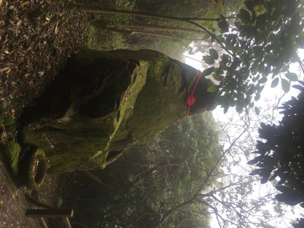 龍麟山步道（王爺崙2703649