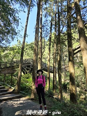 【南投鹿谷】溪頭天文台登山步道3037355