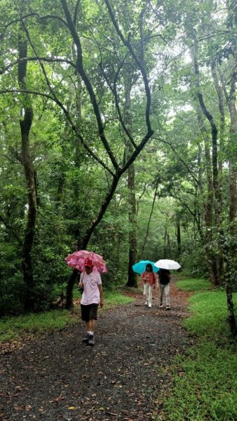 20240527_奧萬大雨中漫走封面