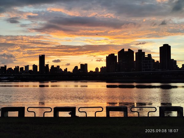 【臺北大縱走 8】萬壽橋頭(木柵)公車站→捷運關渡站［河濱自行車道］2882007