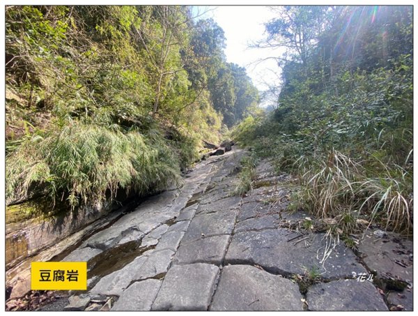 加里山前山隘勇線、騰龍山、橫龍山 連走3027656