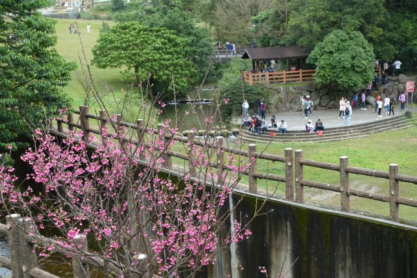 大溝溪親水公園．圓覺瀑布1269515