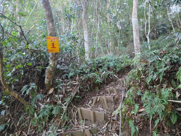 水雲三星～上島山（鳥嘴山）2931223