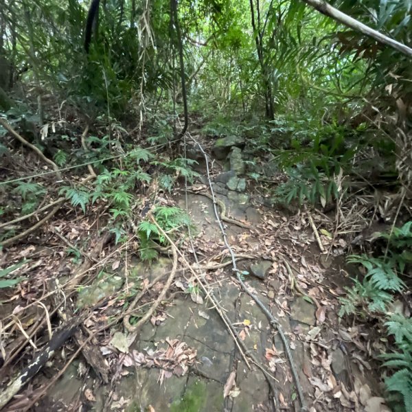 20250926_暗影山（台中小百岳）2941253