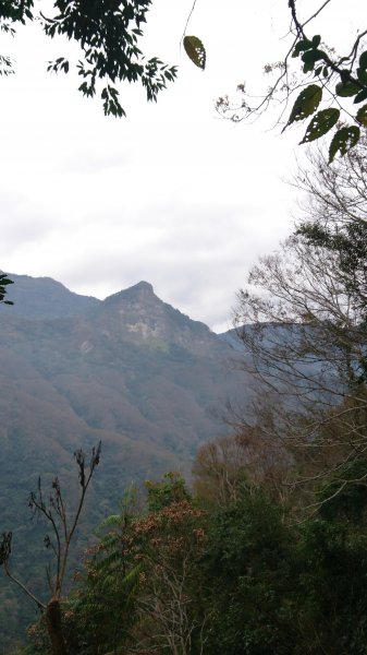 水雲三星之鳳-上島山(鳥嘴山)508321