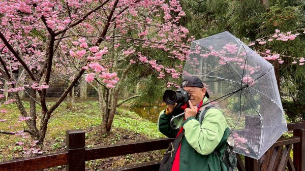 🌈3/1（日）福壽山農場~千櫻園✨FB：熊熊趴爬走🌈3008548