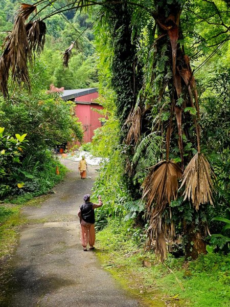 (五分山系)平溪小黃山-2025微笑山線大縱走尋寶集章任務2855285
