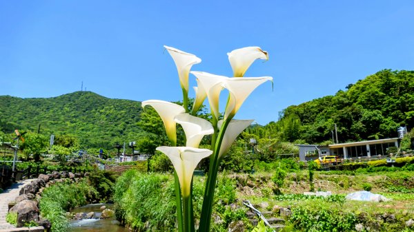 猴崁古道。盧特訪積2773321