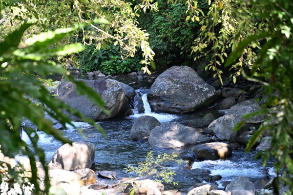 2025_0628 溪瀧步道2824958